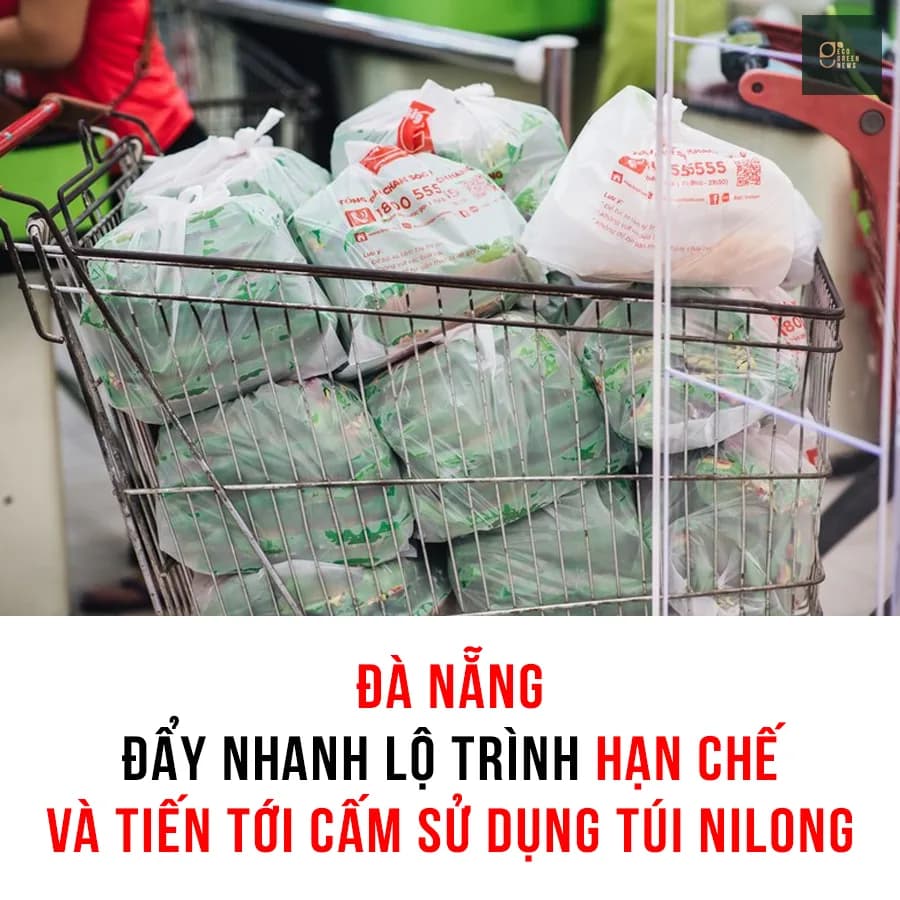 Đà Nẵng: Đẩy nhanh lộ trình hạn chế và tiến tới cấm sử dụng túi nilon