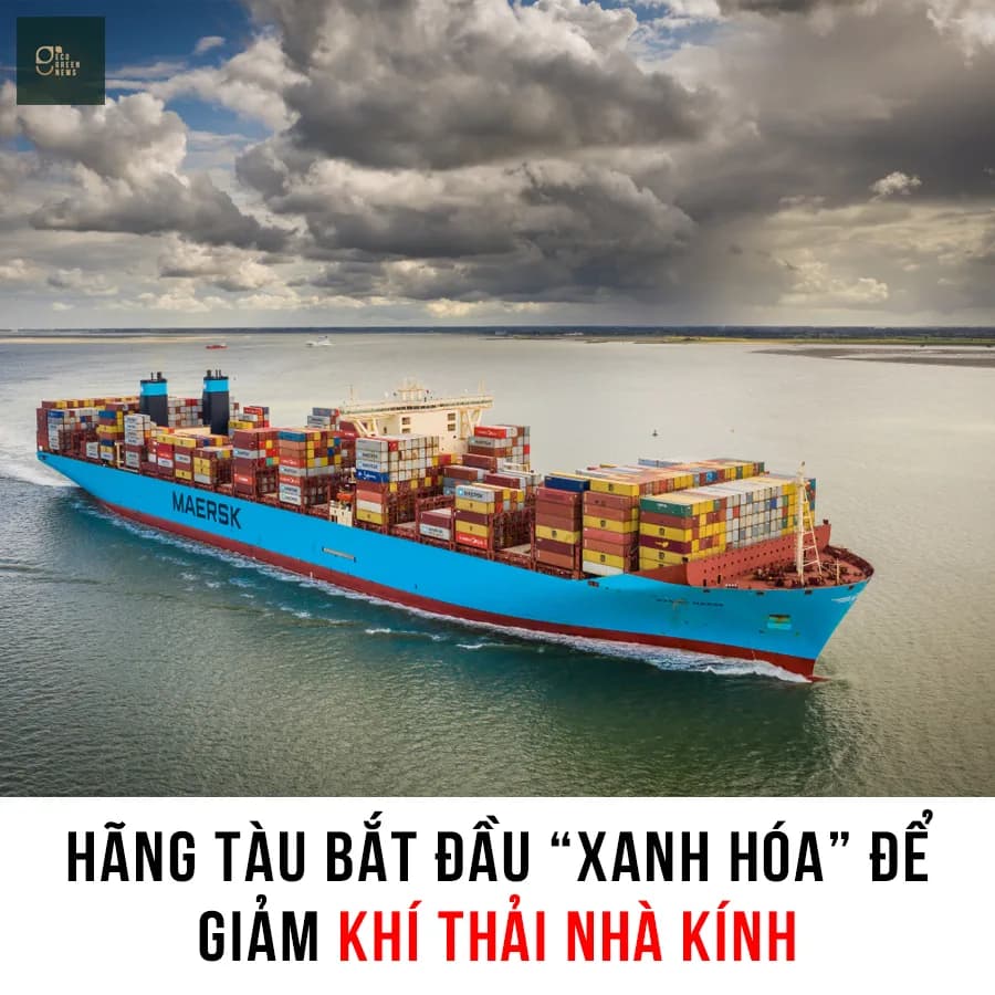 Hãng tàu bắt đầu “xanh hóa”