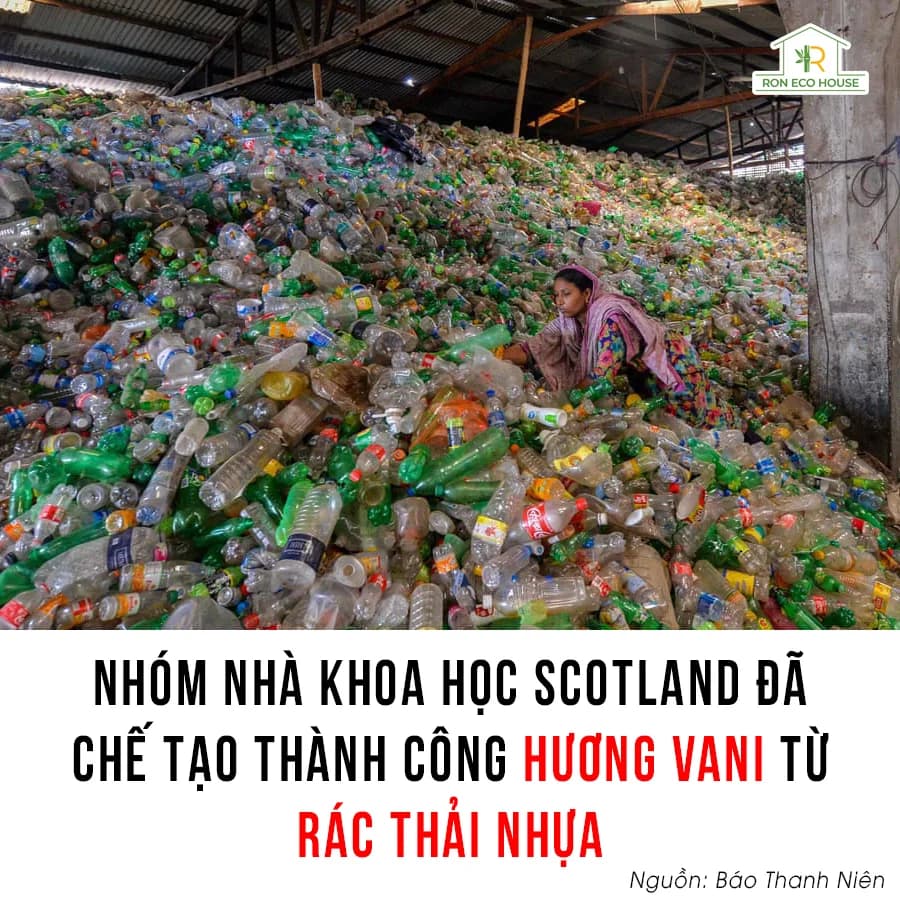 Chế Tạo Thành Công Hương Vani Từ Rác Thải Nhựa