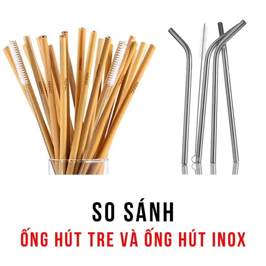 So sánh ống hút tre và ống hút inox