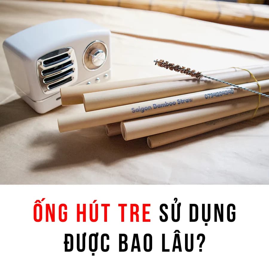 Ống hút tre dùng được bao lâu? Có tái sử dụng được không?