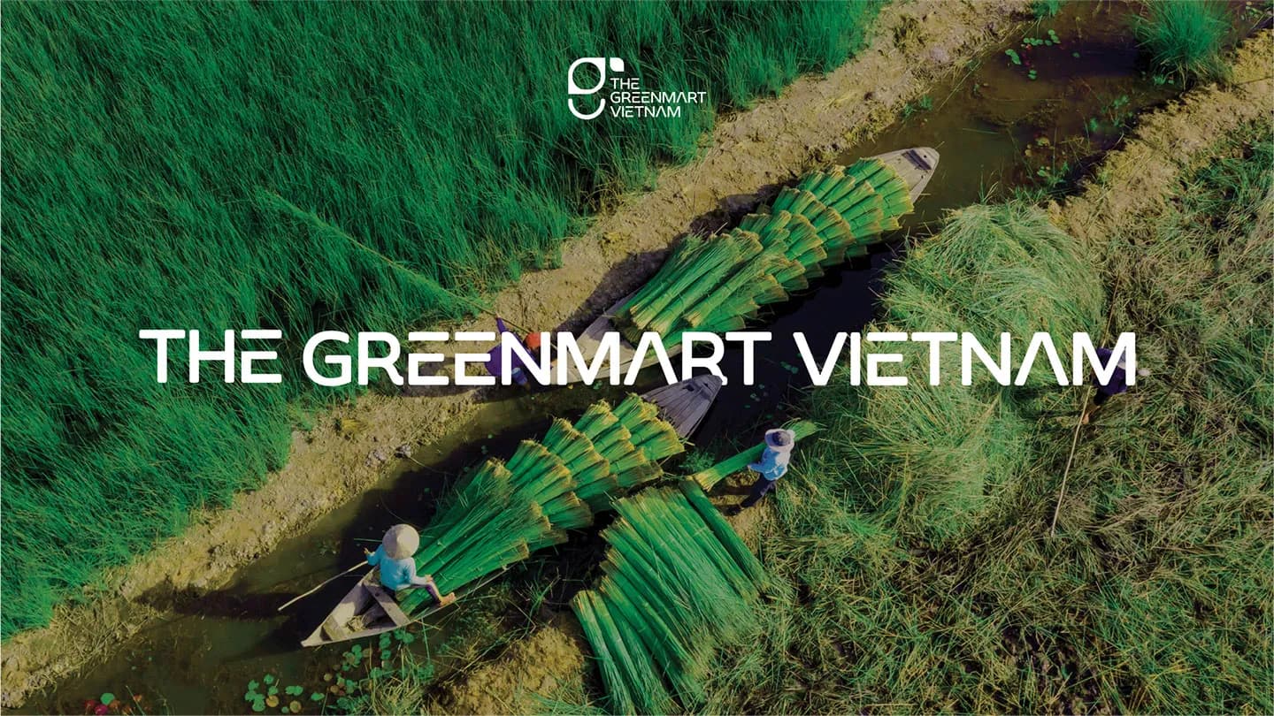 The Greenmart Vietnam - cánh đồng cỏ bàng vùng Đồng Tháp Mười